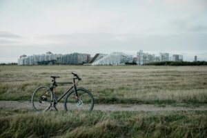 Amager lokalavis
